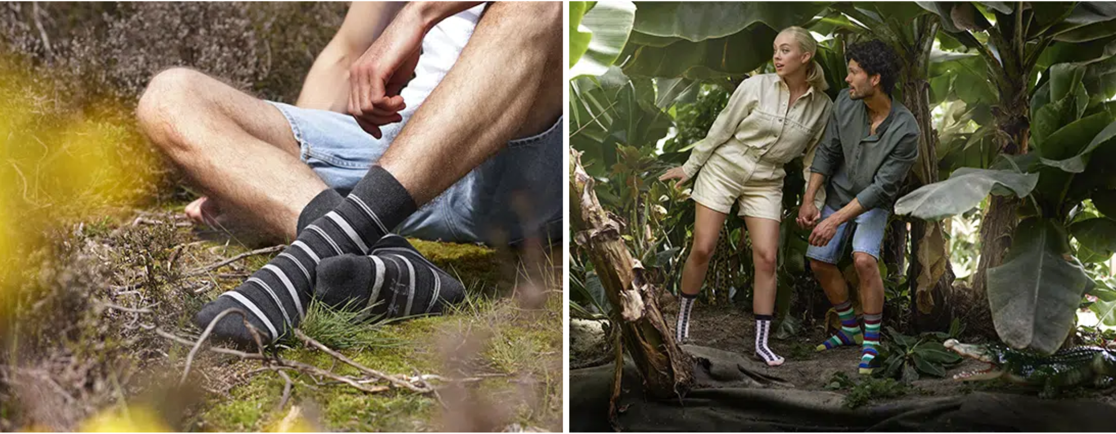 Angro Socks