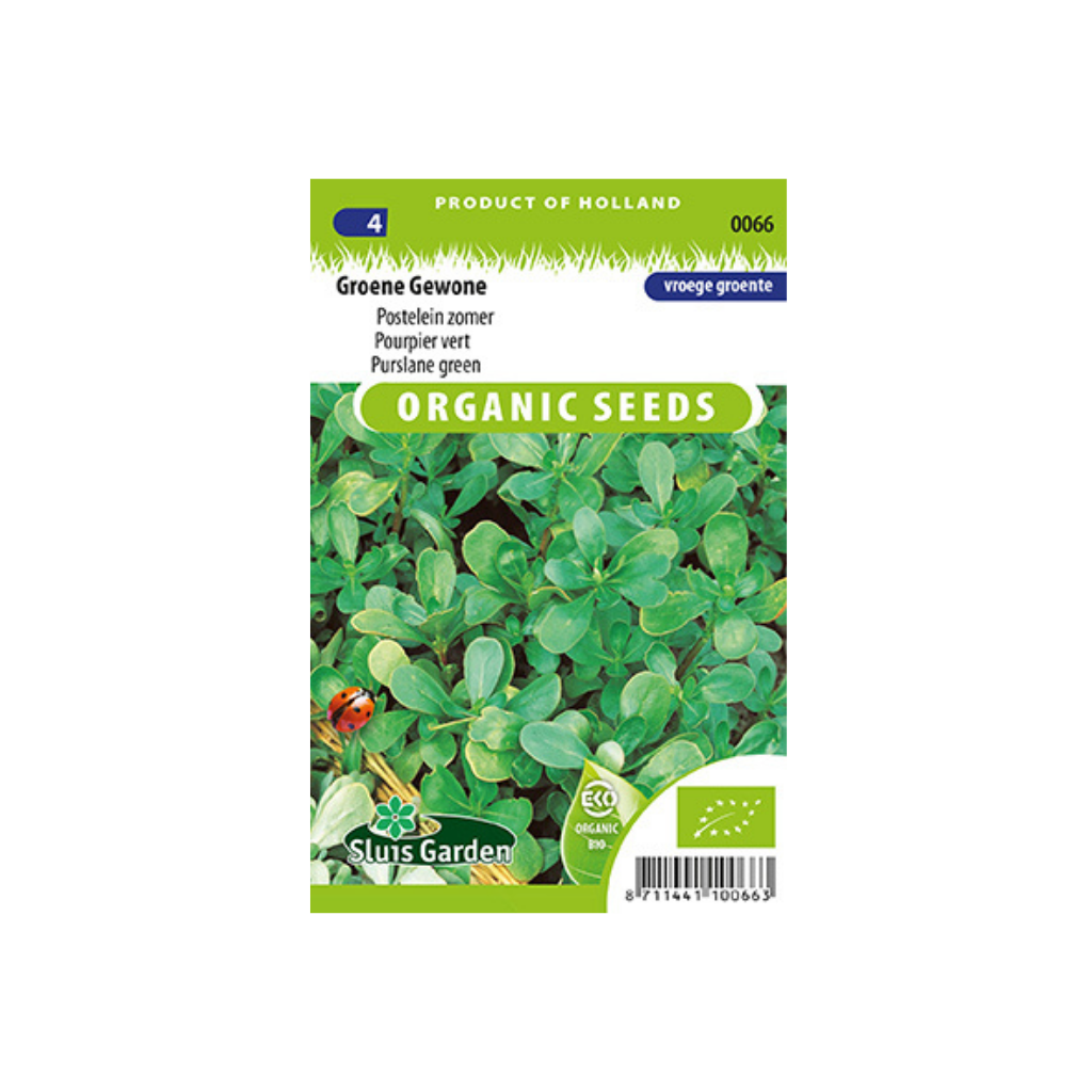 Postelein Groene BIO