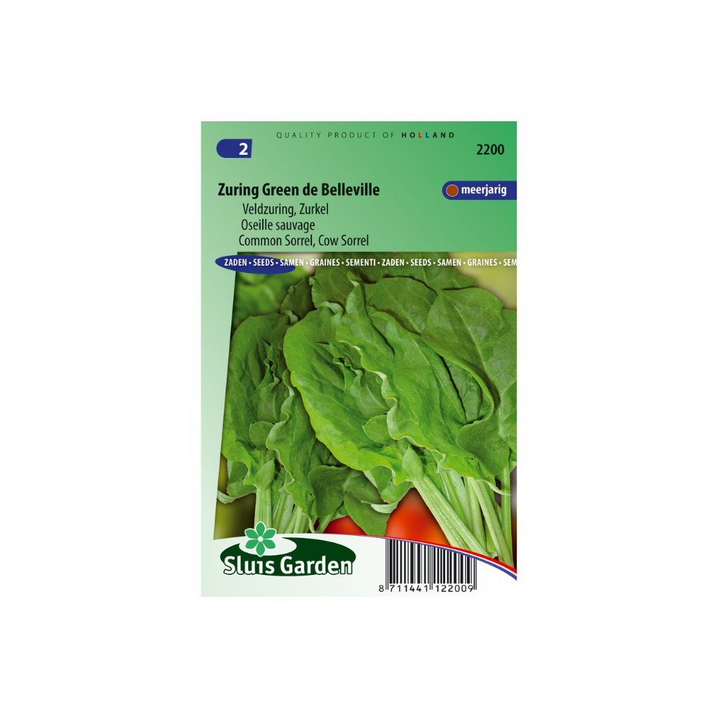 Zuring Green de Belleville Rumex a.