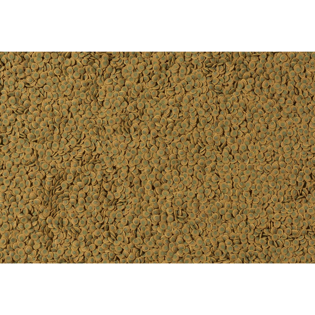 Pleco Veggie Wafer 100 ml