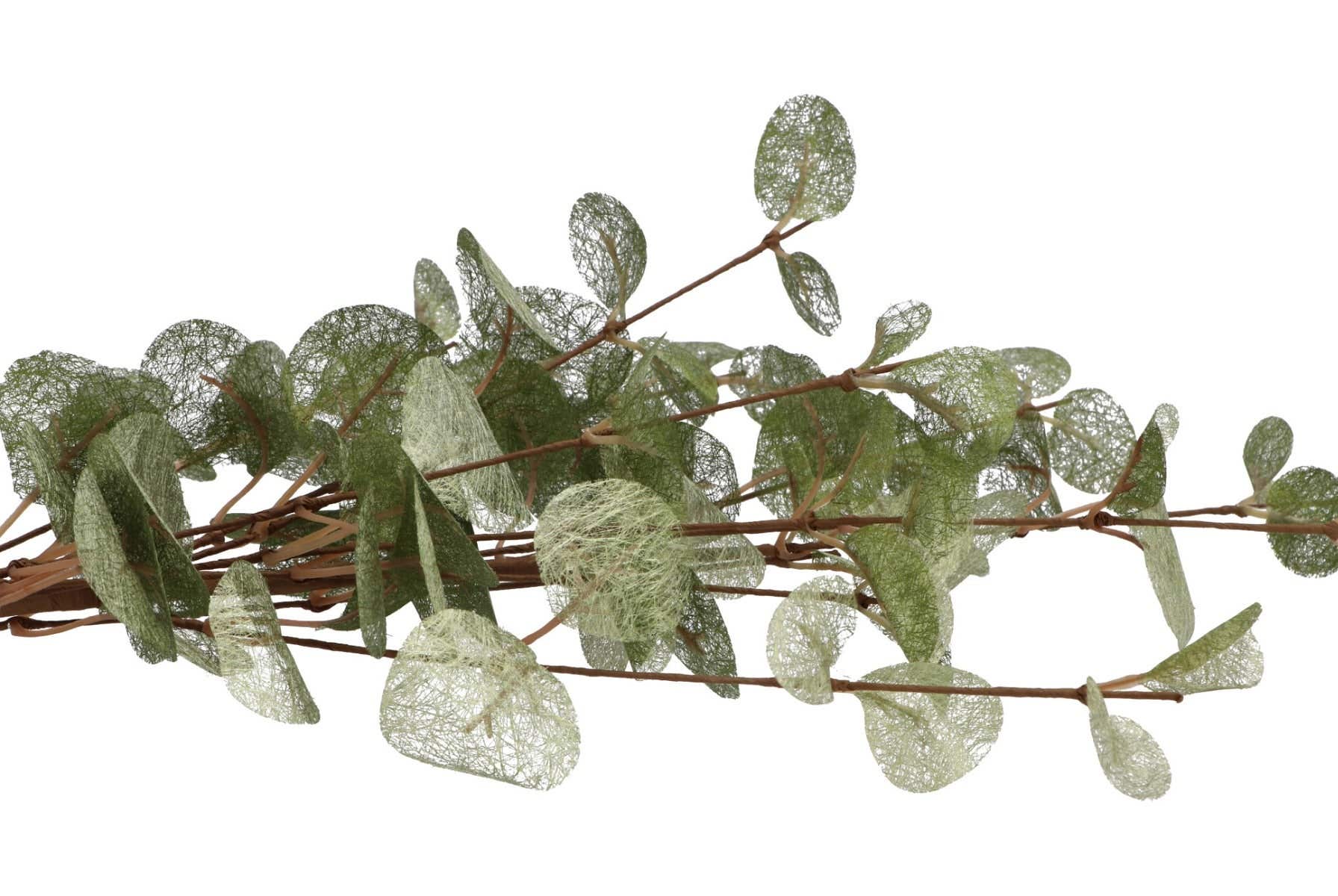 Kunsttak Silk Euca Cinerea Groen 72cm