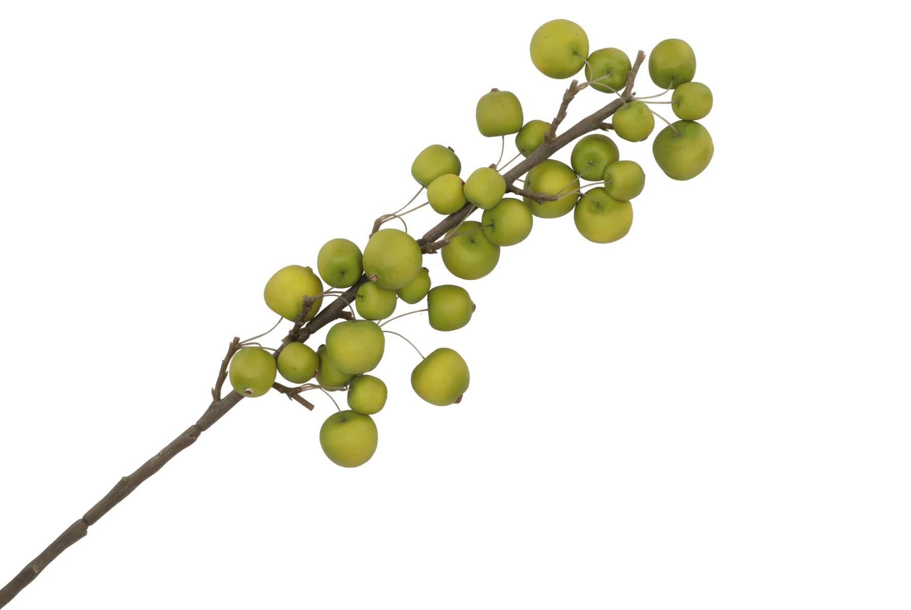 Kunsttak zijde Apple Sentinel Green 66 cm