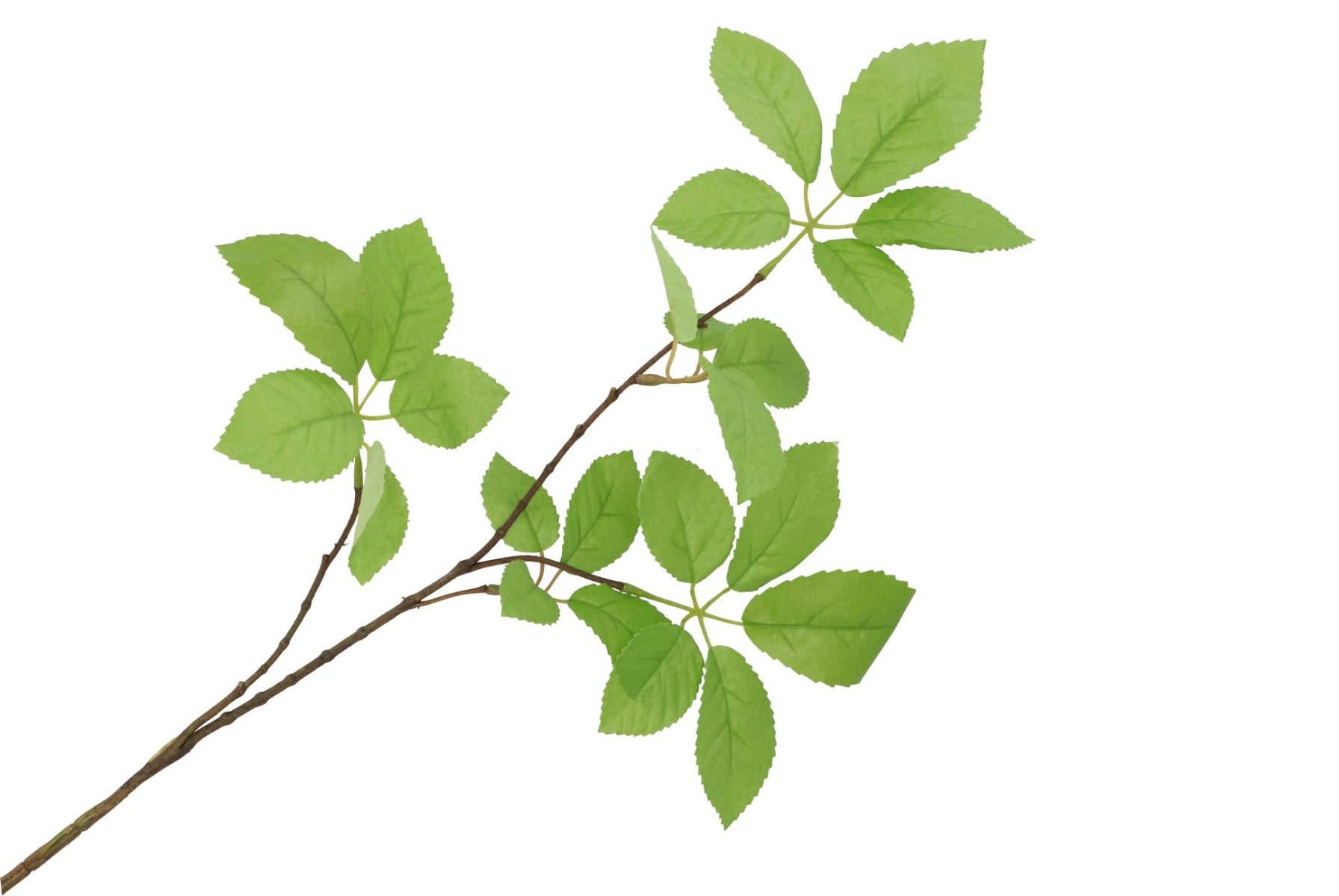 Kunstbloem zijde Leaf Elder Green 81 cm