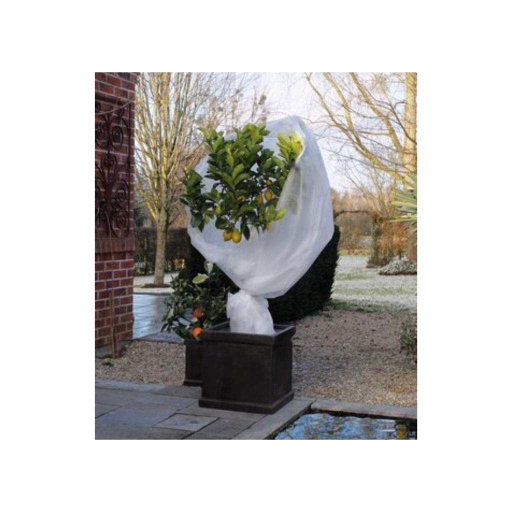 Nature Winterafdekvlies voor planten Wit