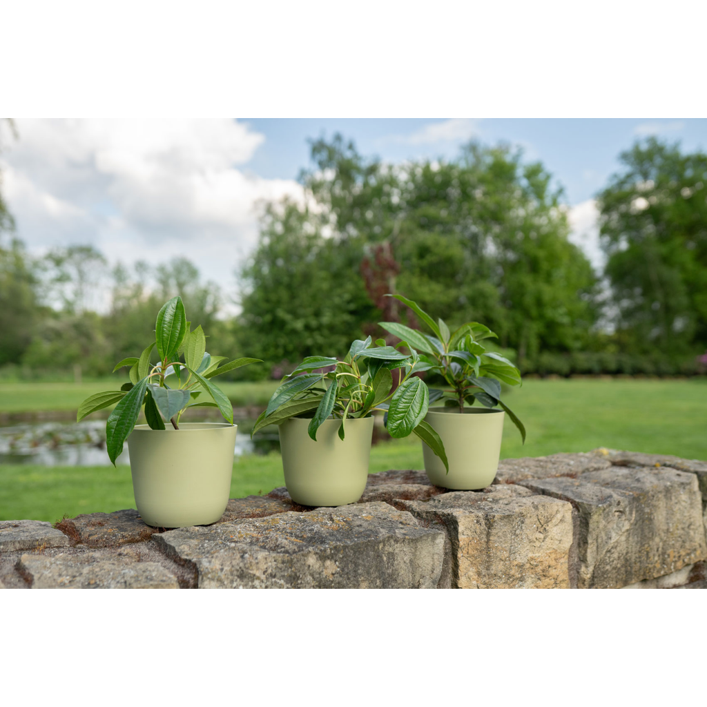 TS Collection Pot Palermo Groen 12 x 13 cm