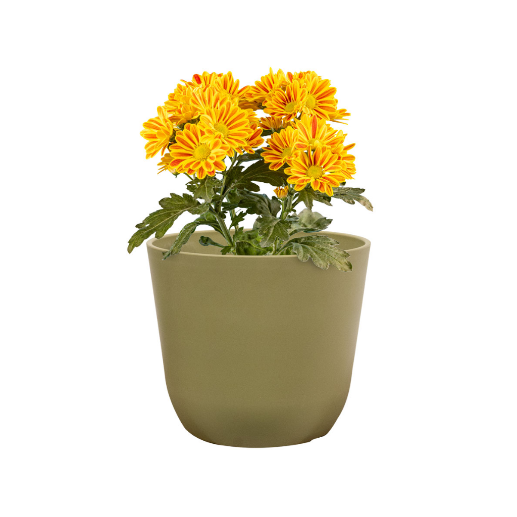 TS Collection Pot Palermo Groen 12 x 13 cm