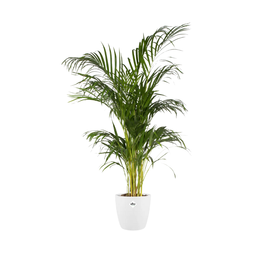 Elho Brussels Rond 14cm Wit