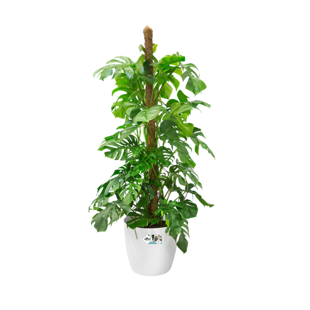 Elho Brussels Rond Wielen 40cm Wit
