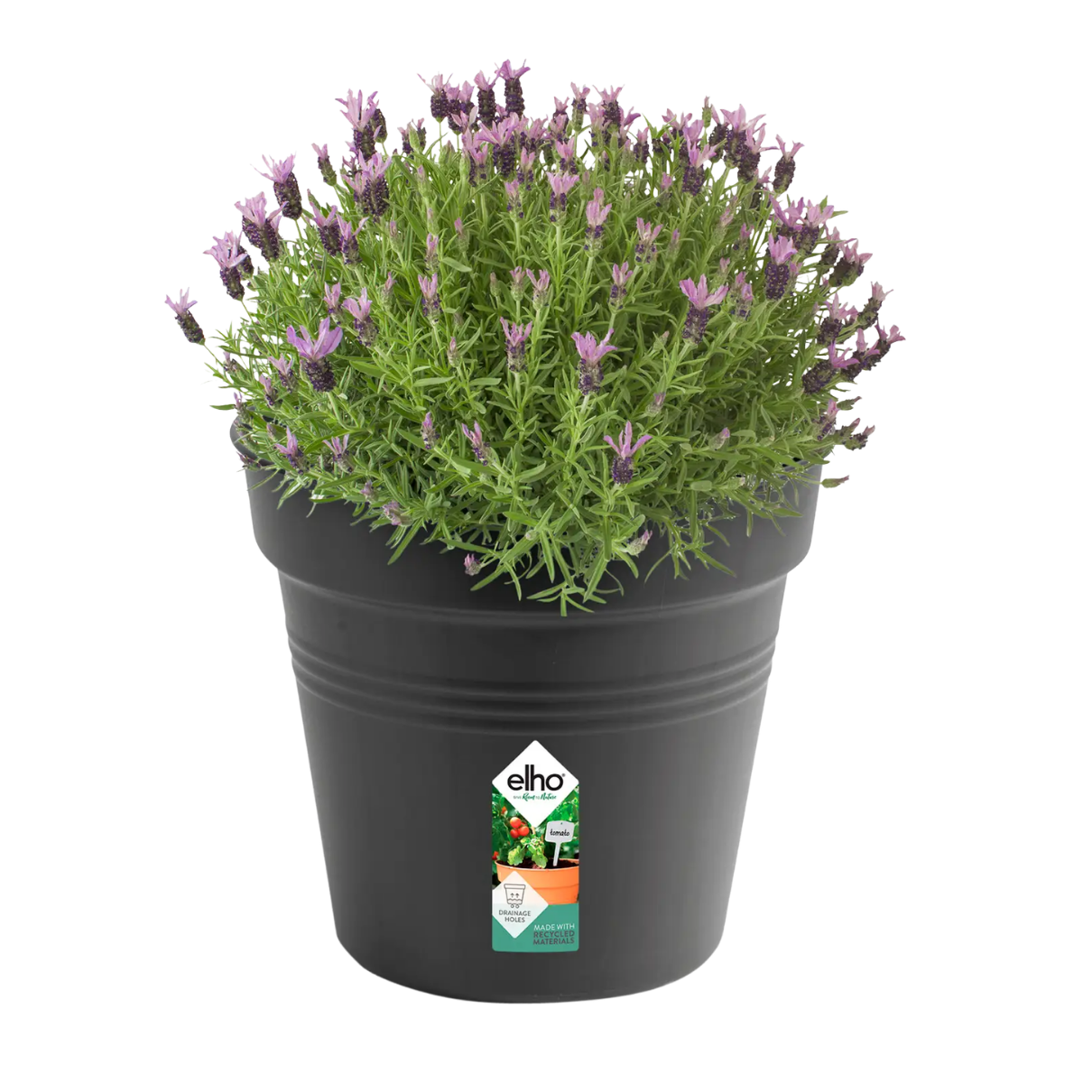 Elho Kweekpot Green Basics Living Black 35 x 32 cm