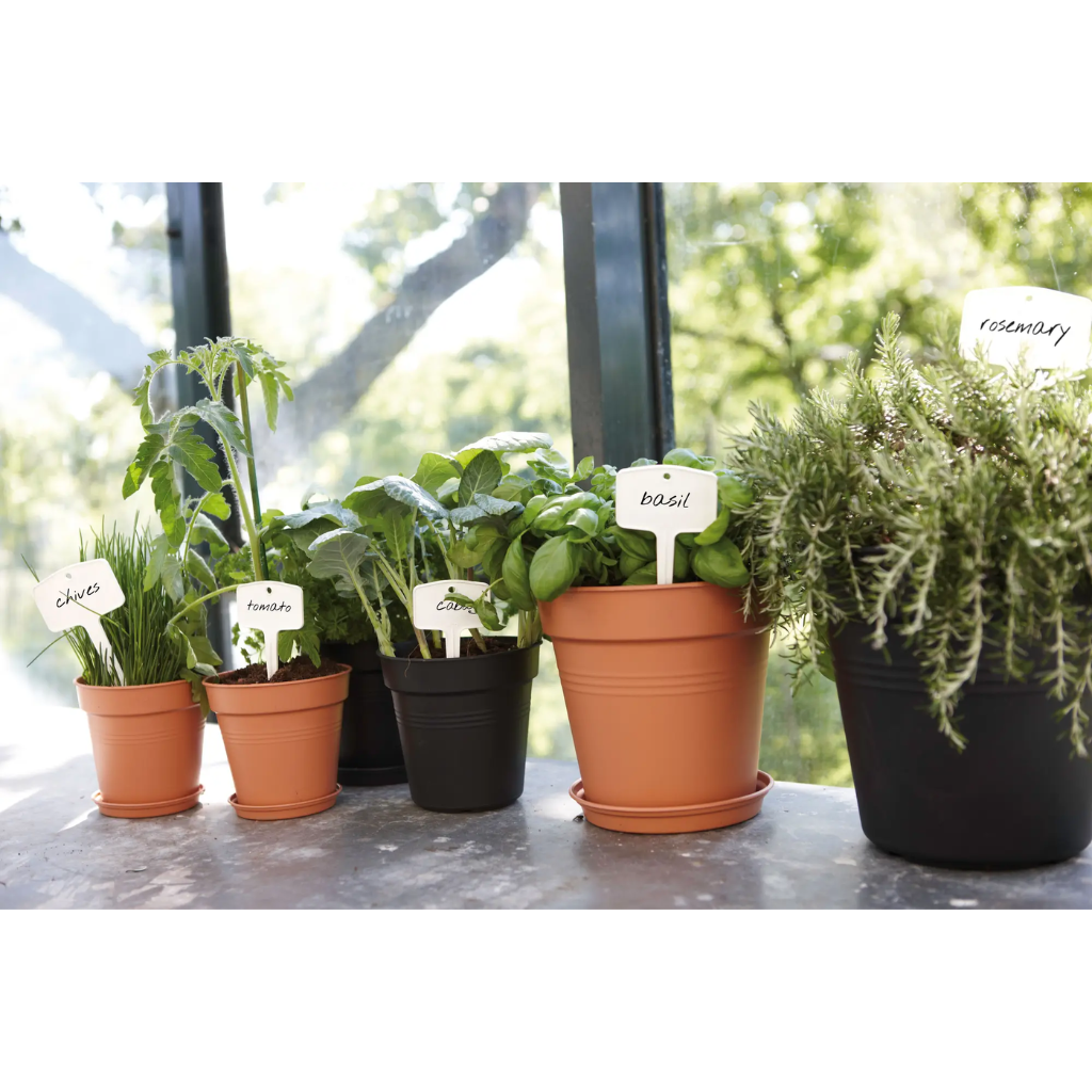 Elho Green Basics schotel zwart 22 cm