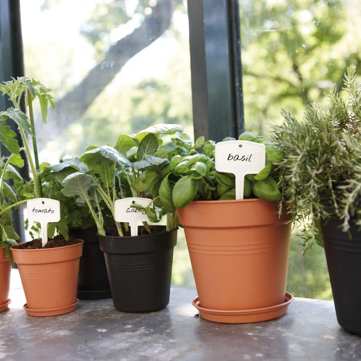 Elho Plantenschotel Green Basics Living Black 25 x 4 cm