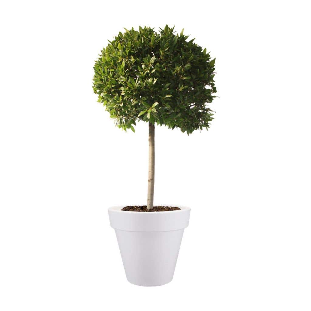 Elho Pure Round 50cm Wit