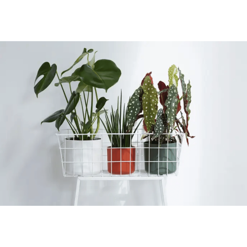 Elho B.For Soft Rond 14cm Wit