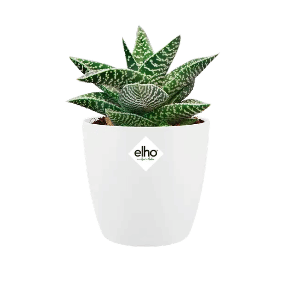 Elho Brussels Rond Mini 7cm Wit