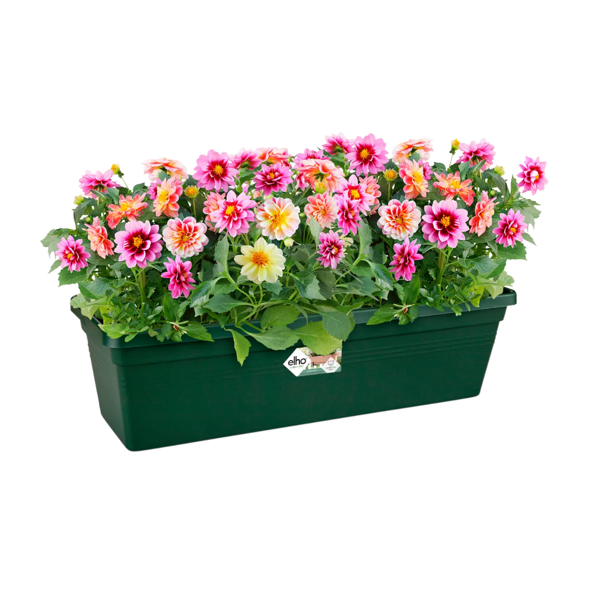 Elho Balkonbak Green Basics Blad Groen 60 x 17 x 14 cm