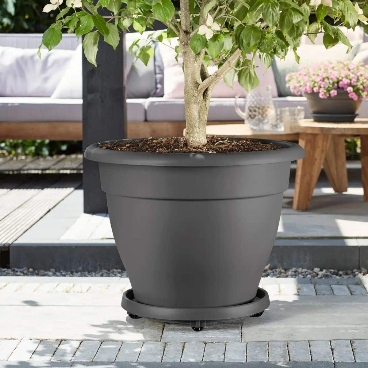 Elho Plantentrolley Universeel Antraciet 29 x 7 cm