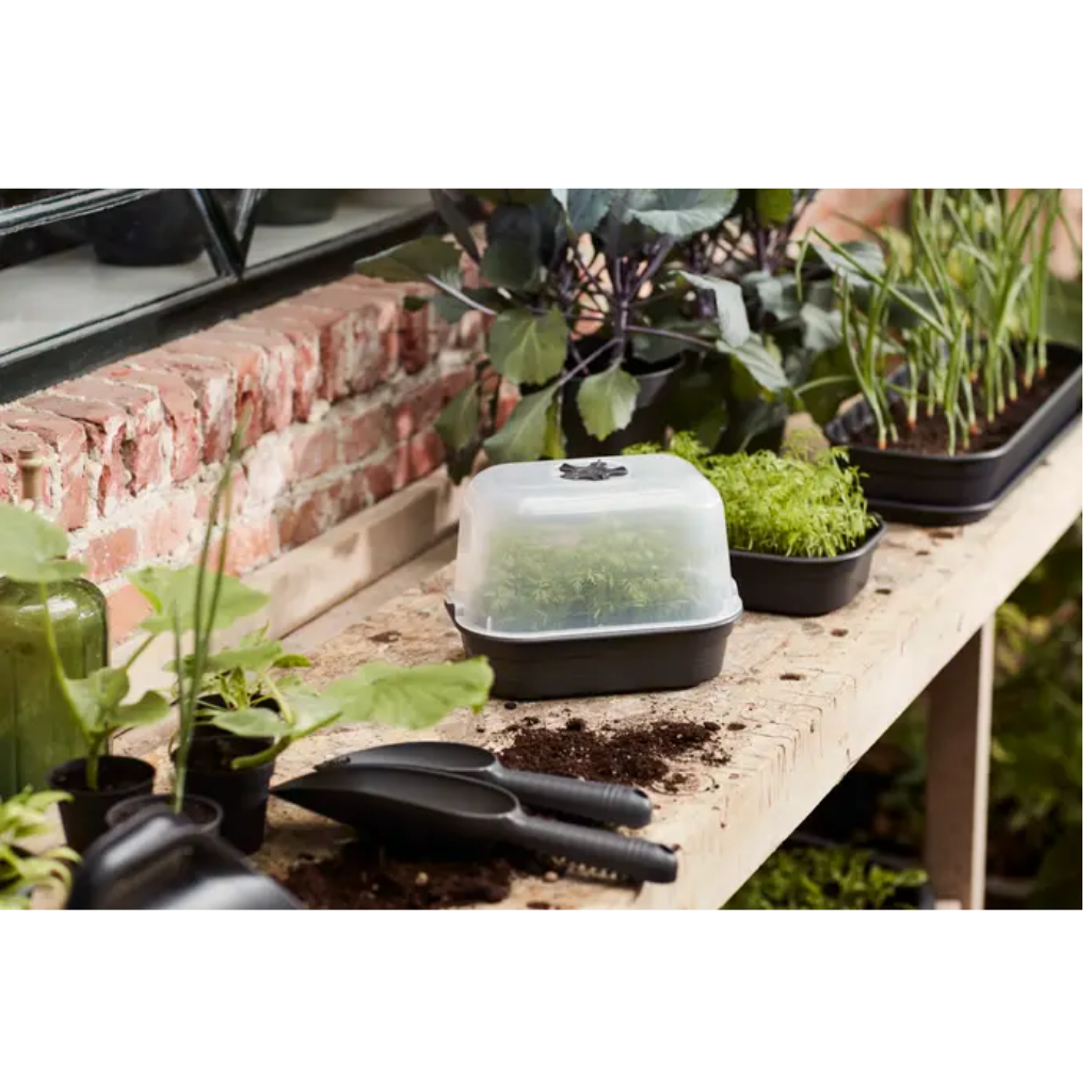 Elho Green Basics Kweekhuis S Transparant