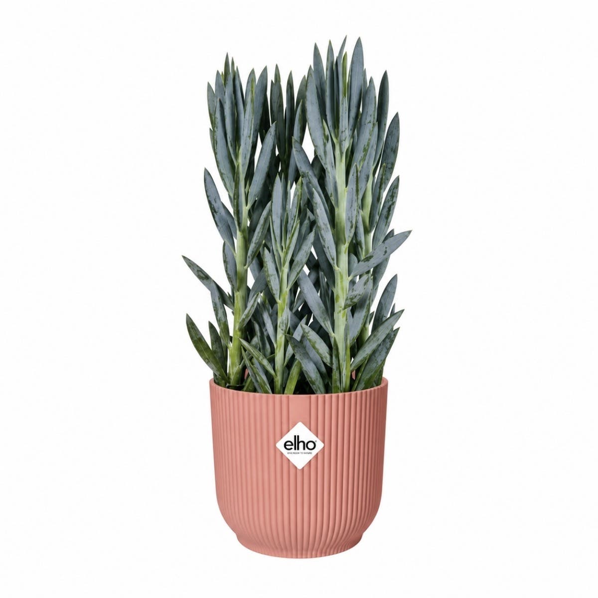 Elho Vibes Fold Rond 16 Delicaat Roze