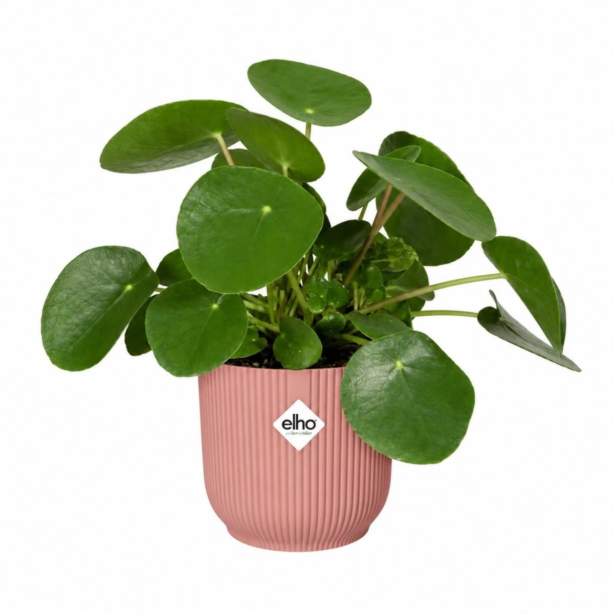 Elho Vibes Fold Rond 16 Delicaat Roze