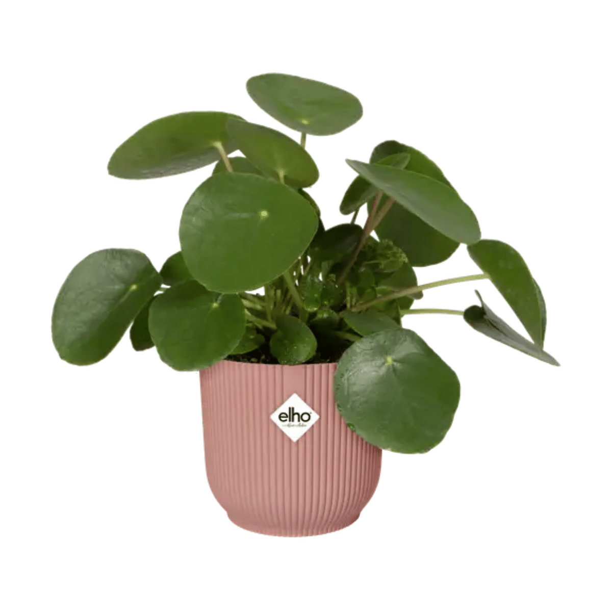 Elho Vibes Fold Rond 18 Delicaat Roze