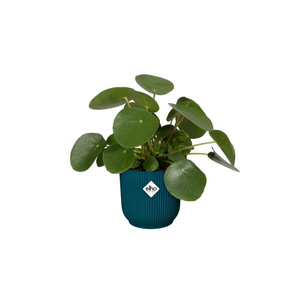 Elho Vibes Fold Rond 18 Diepblauw