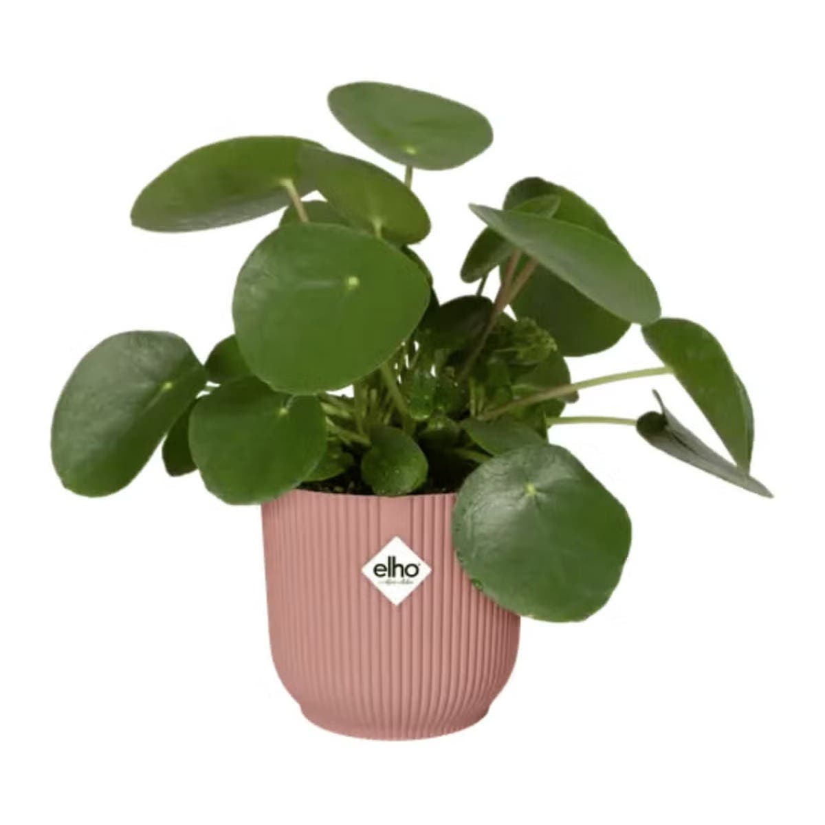 Elho Vibes Fold Rond 25cm Delicaat Roze