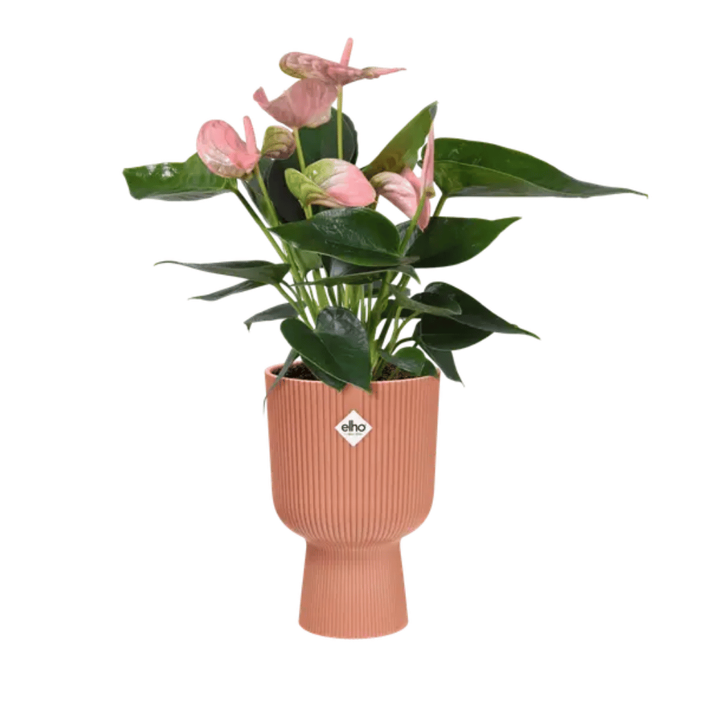 Elho Vibes Fold Coupe 14cm Delicaat Roze