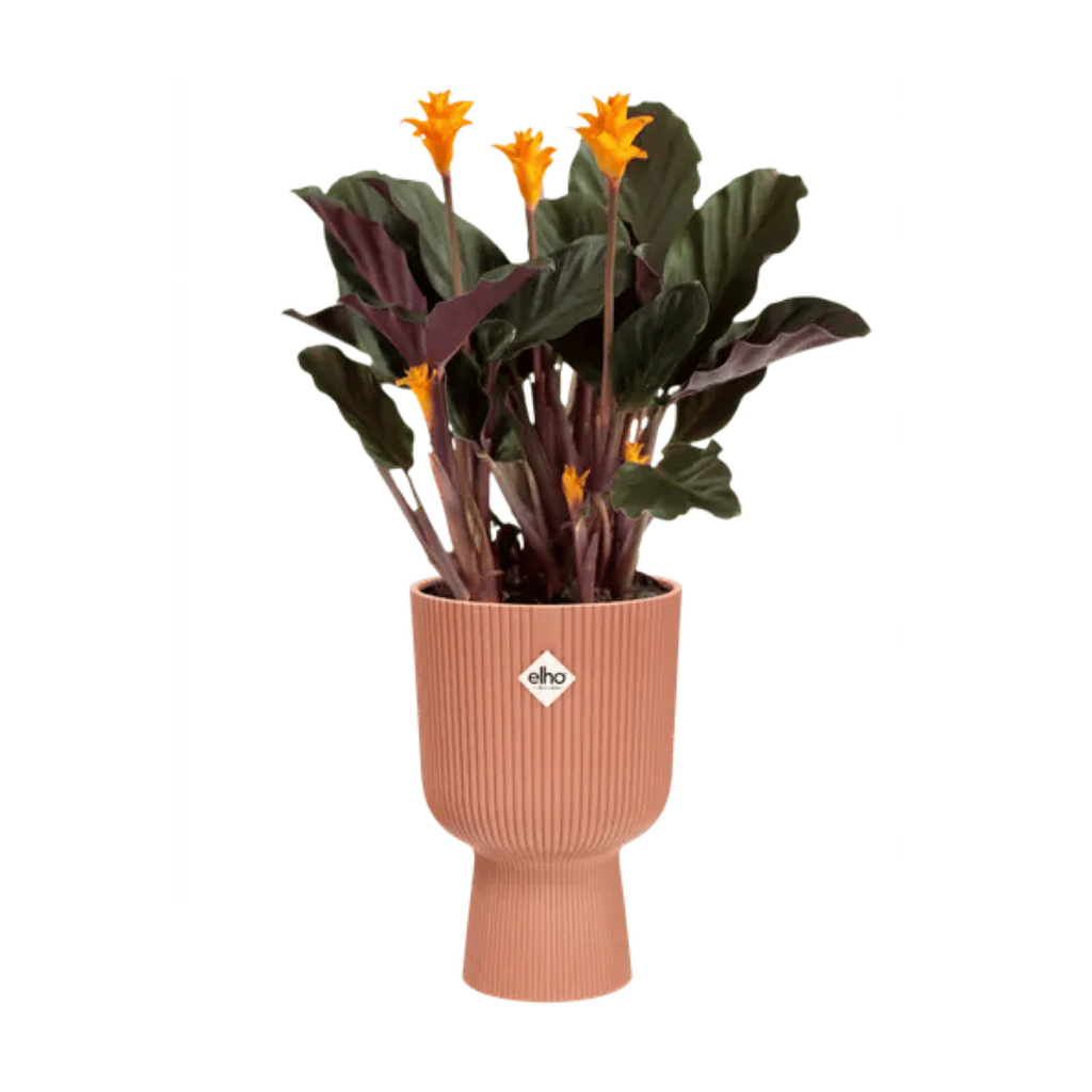 Elho Vibes Fold Coupe 14cm Delicaat Roze