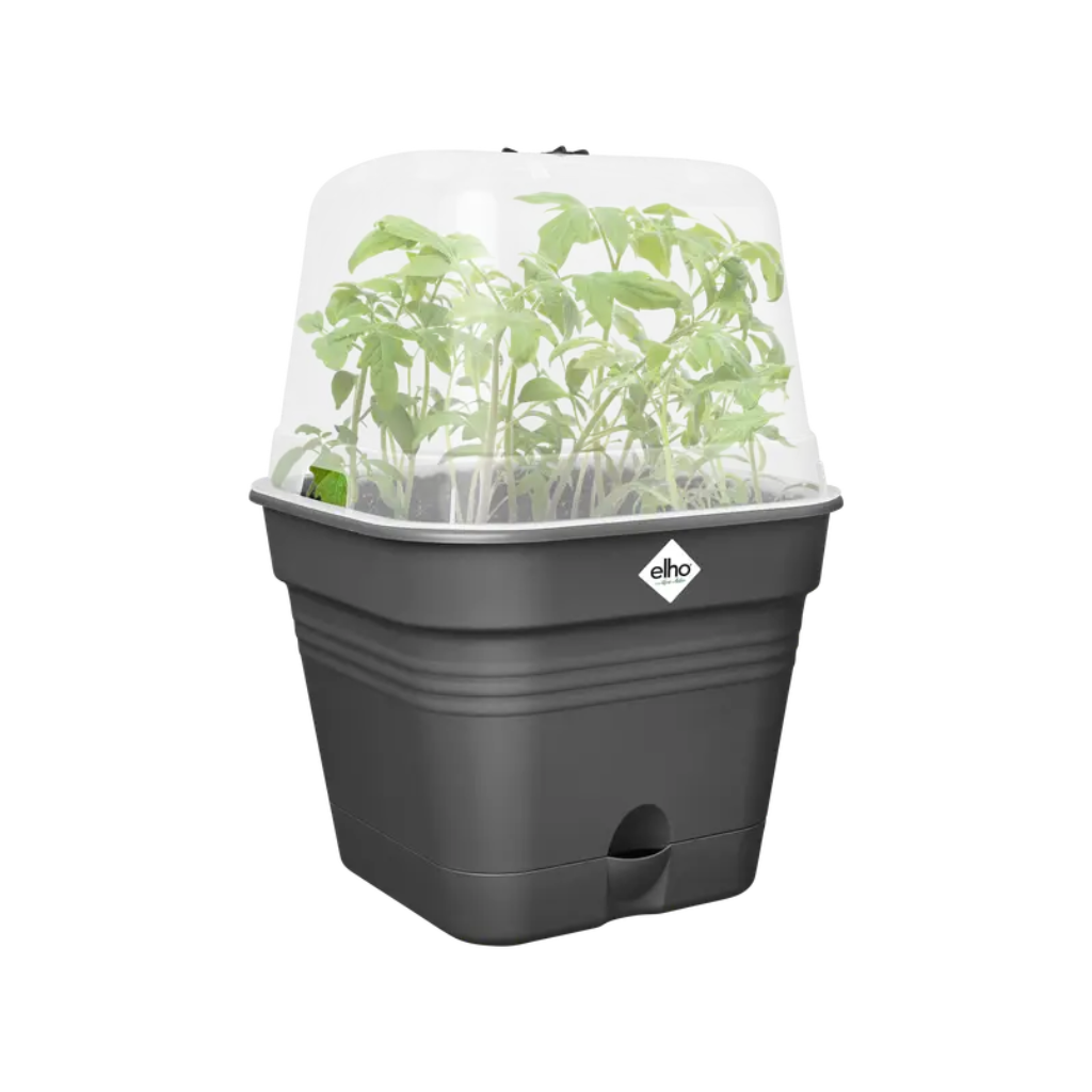 Elho Green Basics kweekpot Allin1 zwart 15 x 21.9 cm