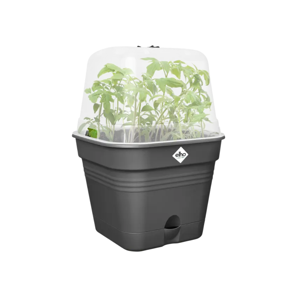 Elho Green Basics kweekpot Allin1 zwart 30 cm