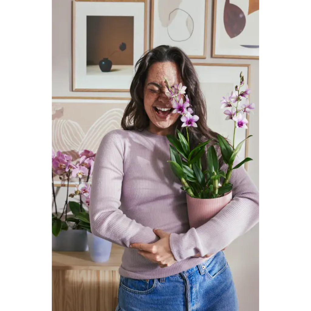 Elho Vibes Fold Orchidee Hoog 12,5cm Frosted Pink