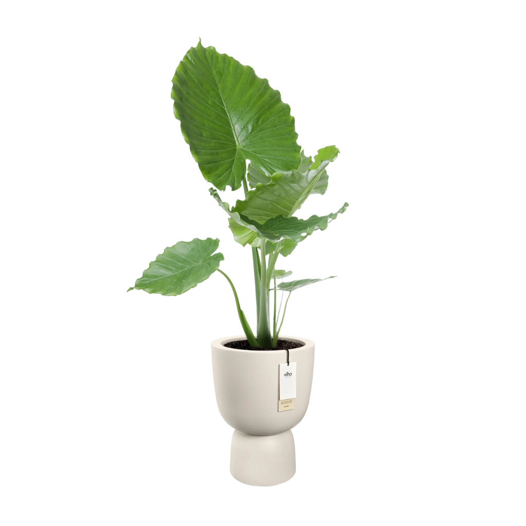 Elho Amber Coupe Round 41 Linnen wit - ø 41 x H 58 cm - 100% gerecycled