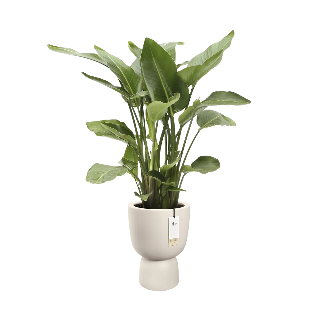 Elho Amber Coupe Round 41 Linnen wit - ø 41 x H 58 cm - 100% gerecycled