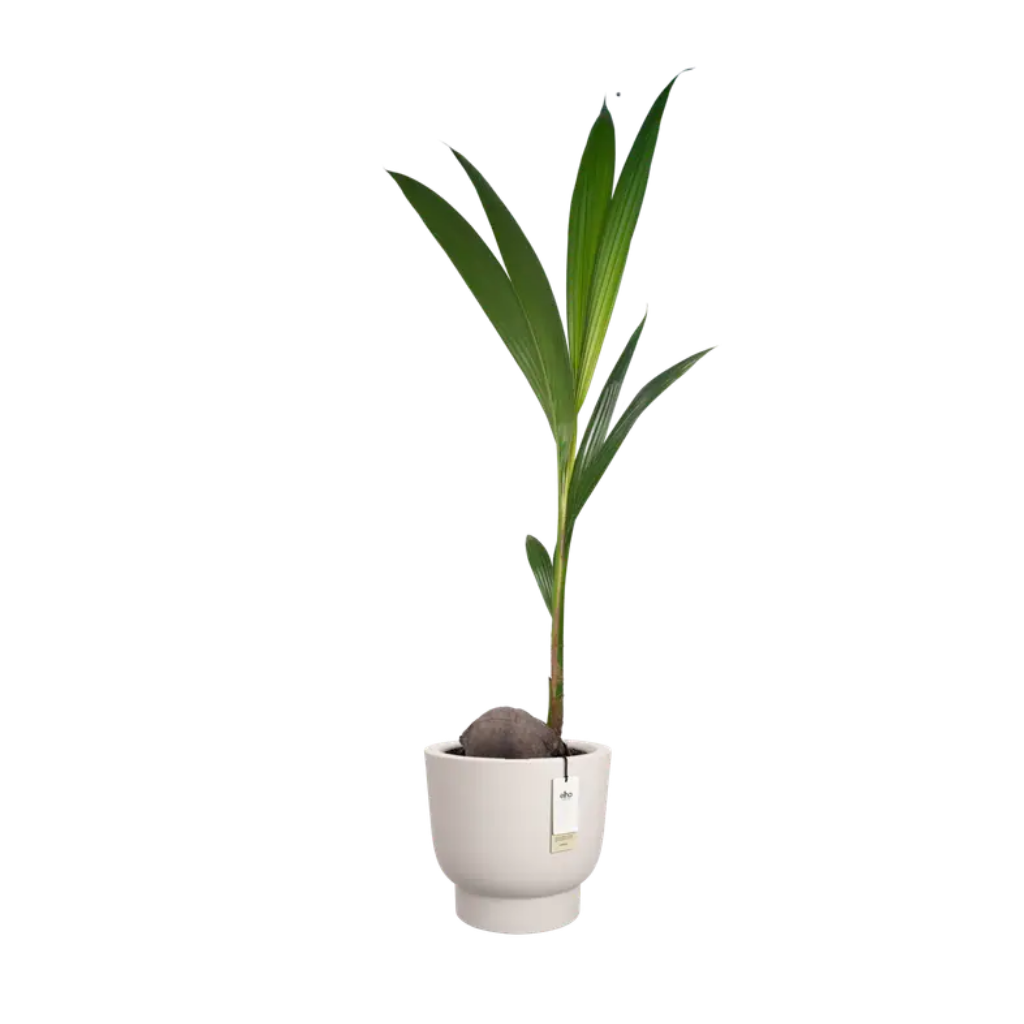 Elho Amber Grail 30 Linnen wit - ø 30 x H 28 cm - 100% gerecycled