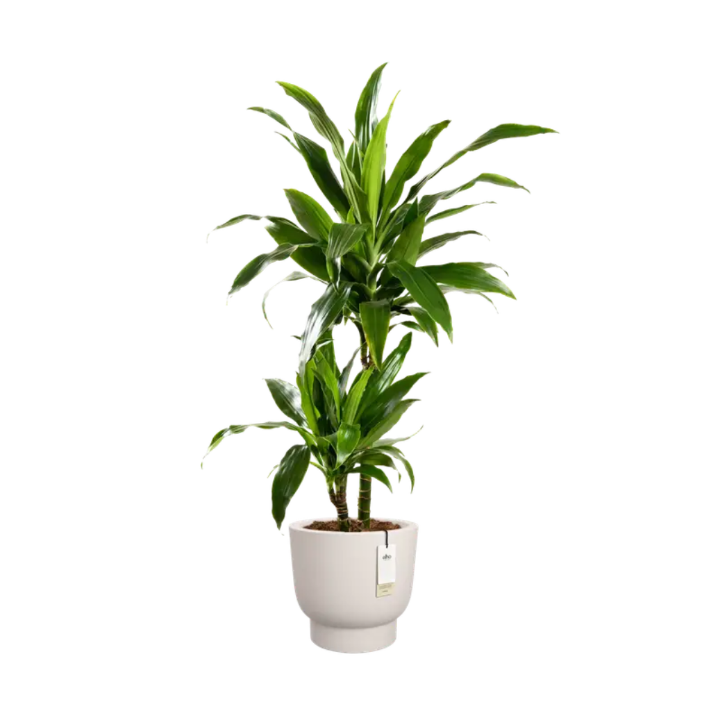 Elho Amber Grail 30 Linnen wit - ø 30 x H 28 cm - 100% gerecycled