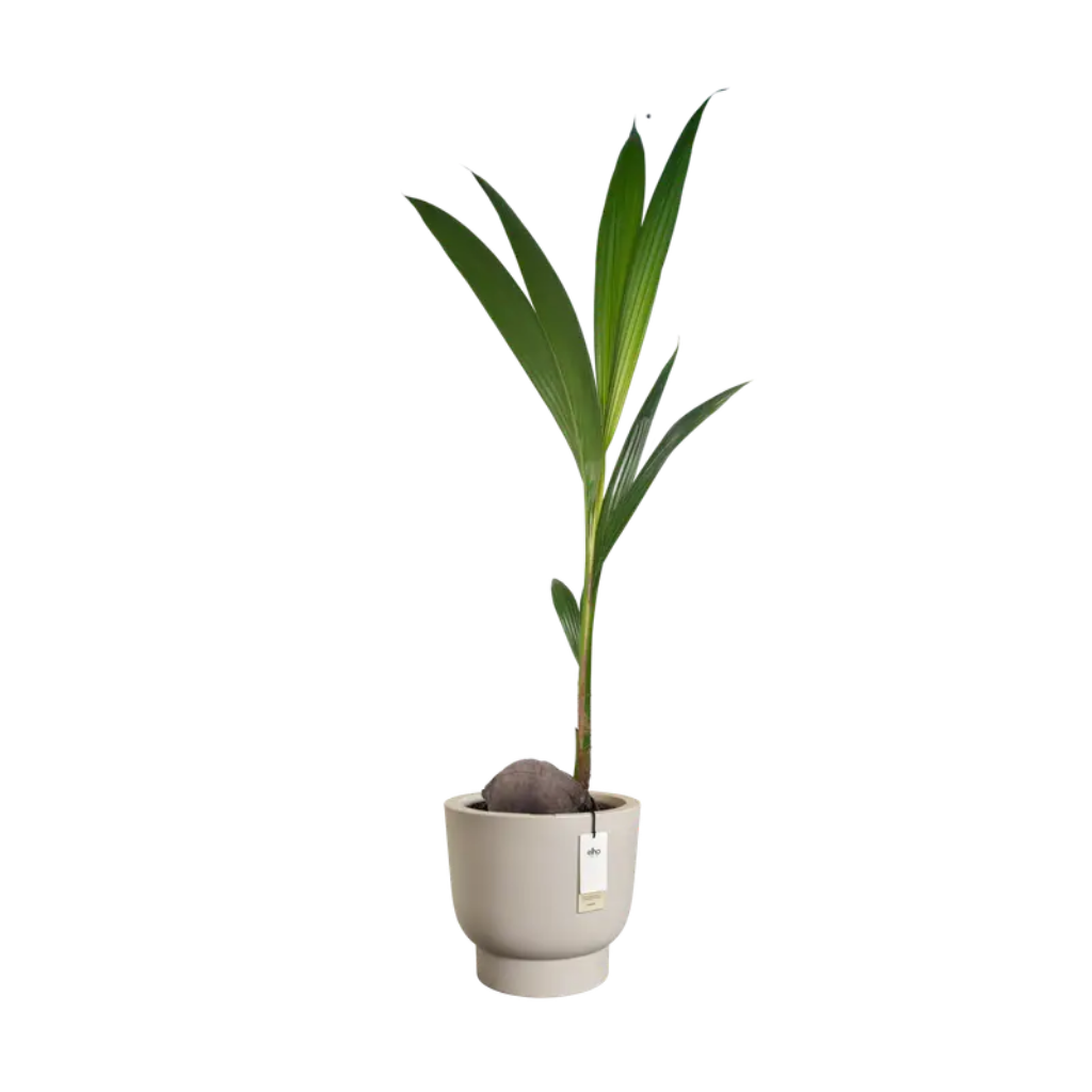 Elho Amber Grail 40 Balanced beige - ø 38 x H 36 cm - 100% gerecycled