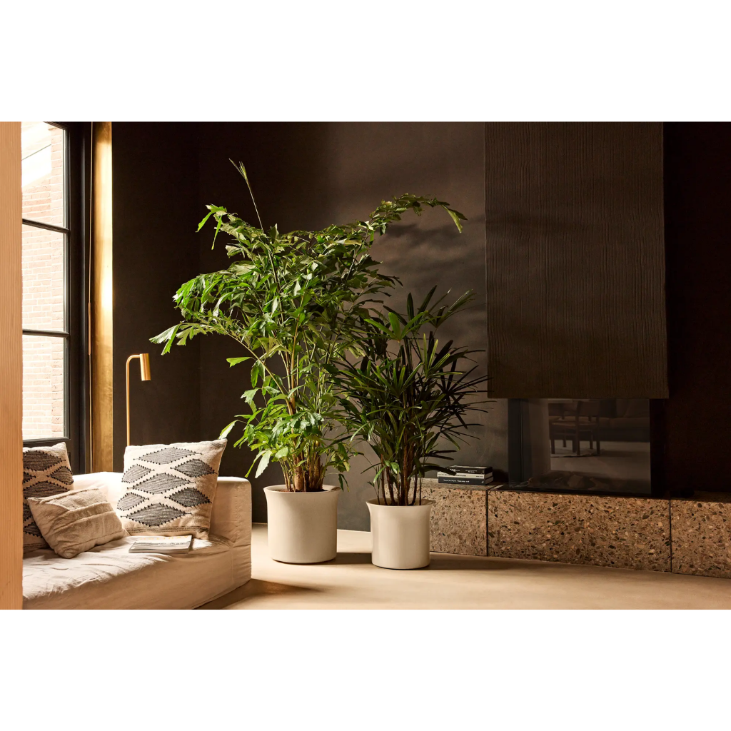 Elho June Tulip 47 Balanced beige- ø 47 x H 43 cm - 100% gerecycled