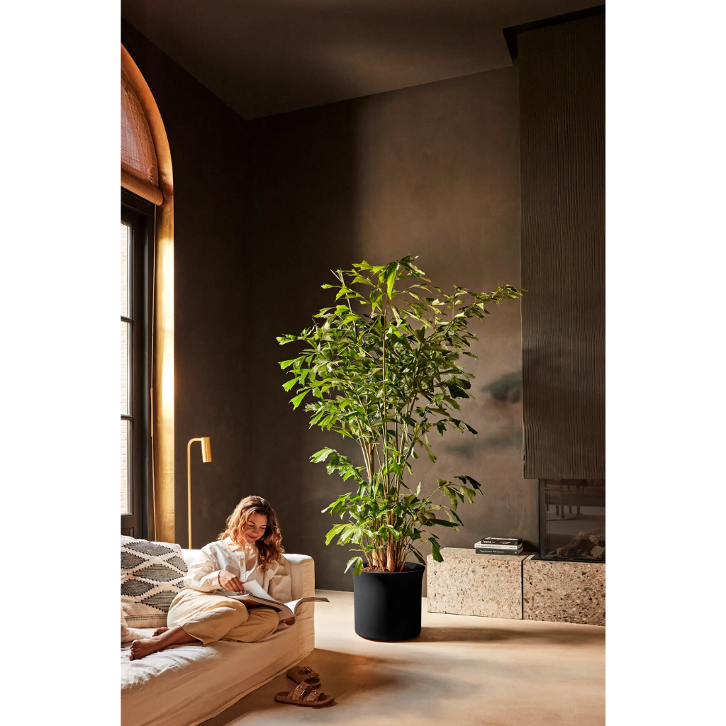 Elho June Tulip 47 Balanced beige- ø 47 x H 43 cm - 100% gerecycled
