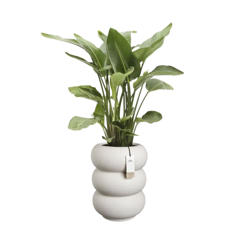 Elho Amber Roll Low - Linnen wit - 43 x 58 cm