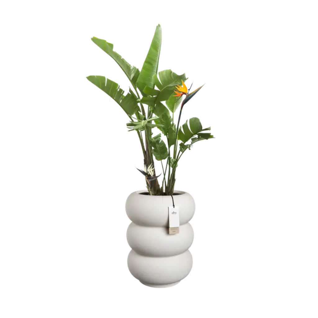 Elho Amber Roll Low - Linnen wit - 43 x 58 cm