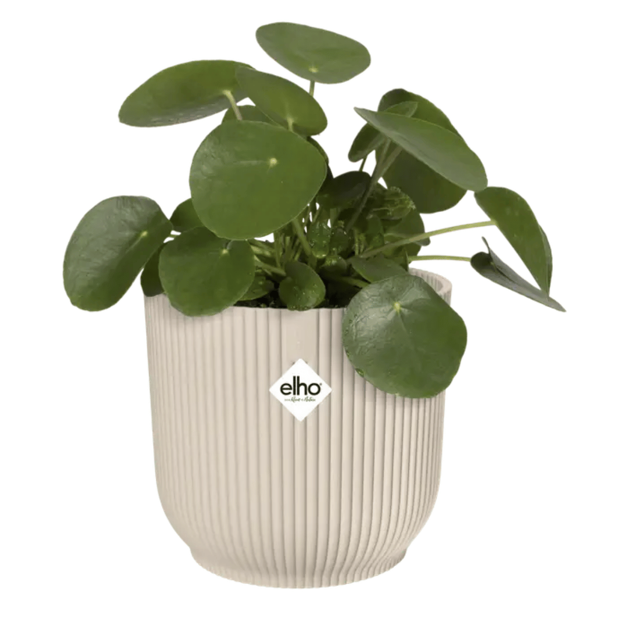 Elho Bloempot Vibes Fold Rond Wit 16 x 15 cm