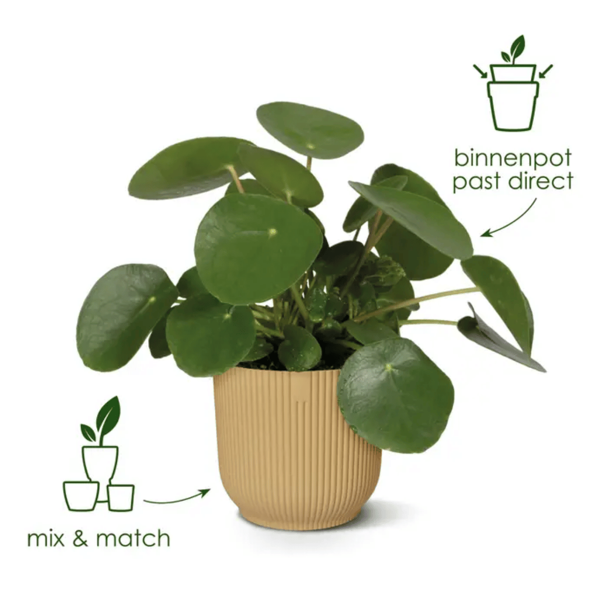 Elho Bloempot Vibes Fold Rond Wit 16 x 15 cm