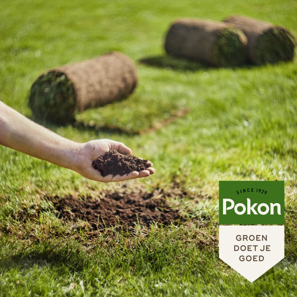 Pokon Fosfaatmest 2kg