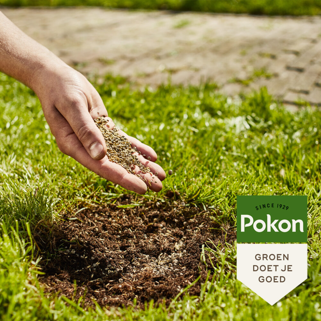 Pokon Kalimest 2kg
