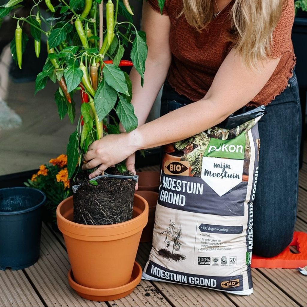 Pokon Bio Moestuingrond 20L