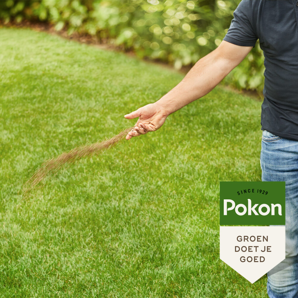 Pokon Bio Gazonmest 2kg voor 30m2