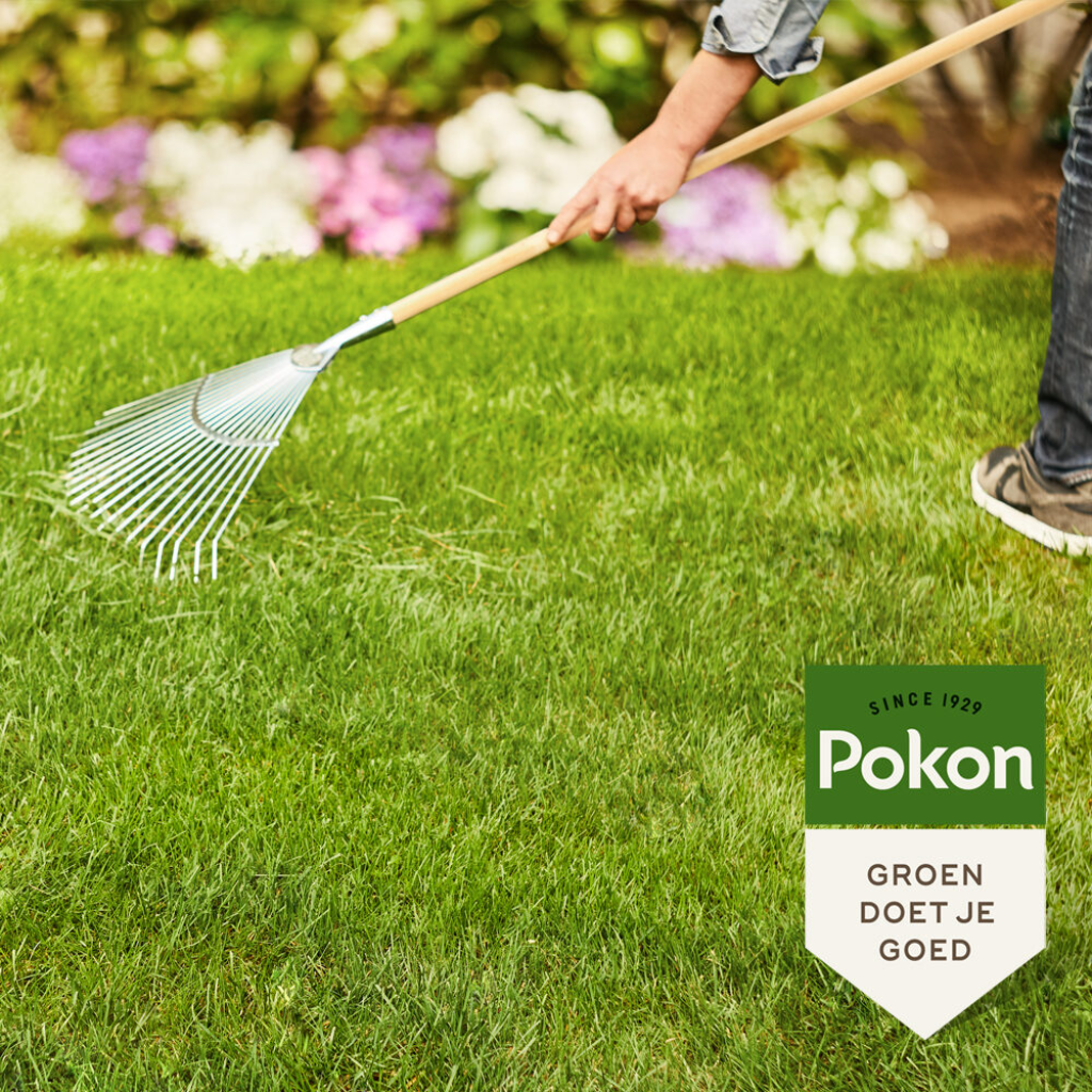 Pokon Gazonmest met Kalk 2kg voor 30m2