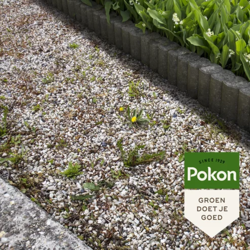 Pokon Tegen Onkruid Concentraat 225ml