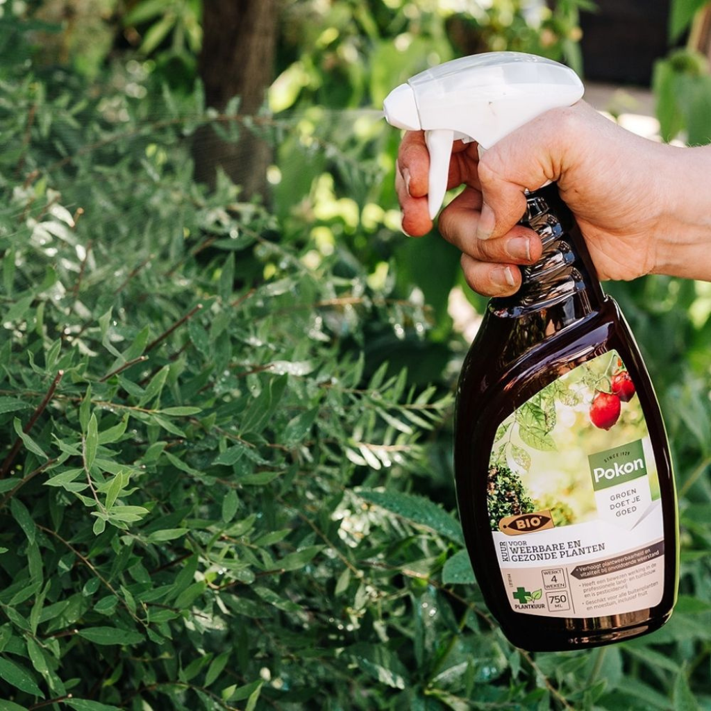 Pokon Bio Kuur voor Weerbare en Gezonde Planten Spray 750ml