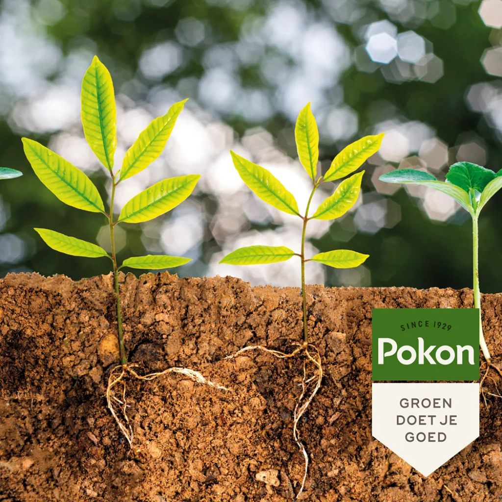 Pokon Bio Plantkuur Bodeminsecten 500 ml